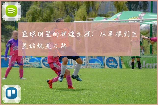 篮球明星的辉煌生涯:从草根到巨星的蜕变之路